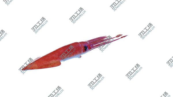 images/goods_img/20210312/3D Giant Squid/2.jpg